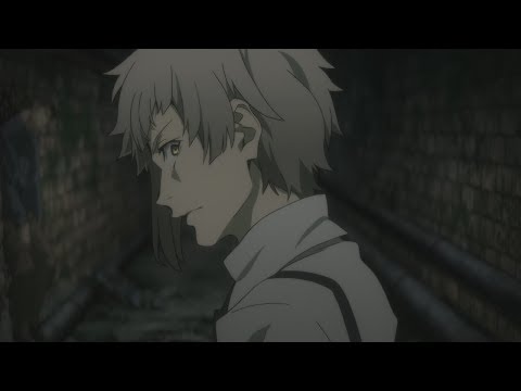 Трейлер PV1