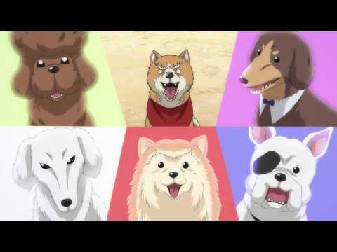 Трейлер PV1