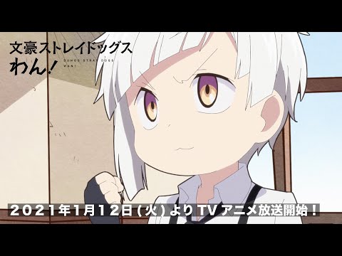 Трейлер PV1