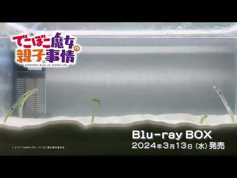 Трейлер Blu-ray BOX