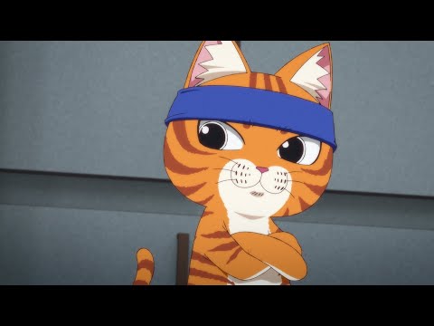 Трейлер PV1