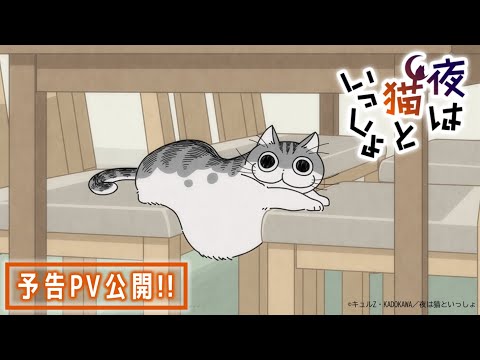 Трейлер PV1