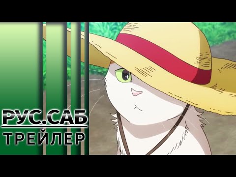 Трейлер Тизер (AniMeow) Субтитры